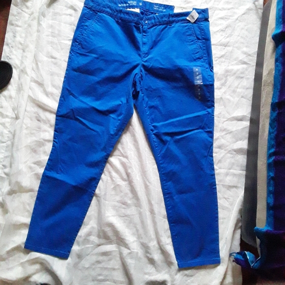 GAP New Womens Plus sz16 Skinny Blue Khaki Pants - Picture 5 of 16